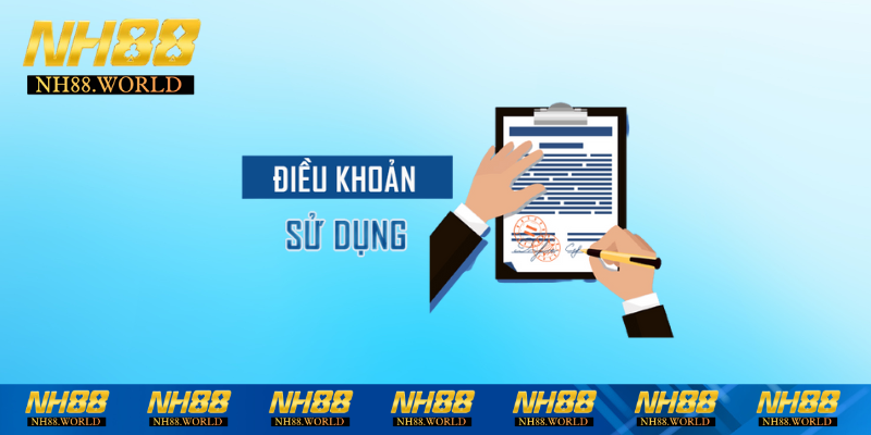 Dieu-khoan-va-dieu-kien-nam-bat-luu-y-quan-trong